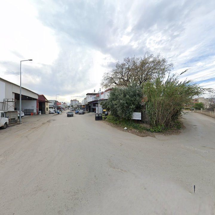 Fotoğraf 6