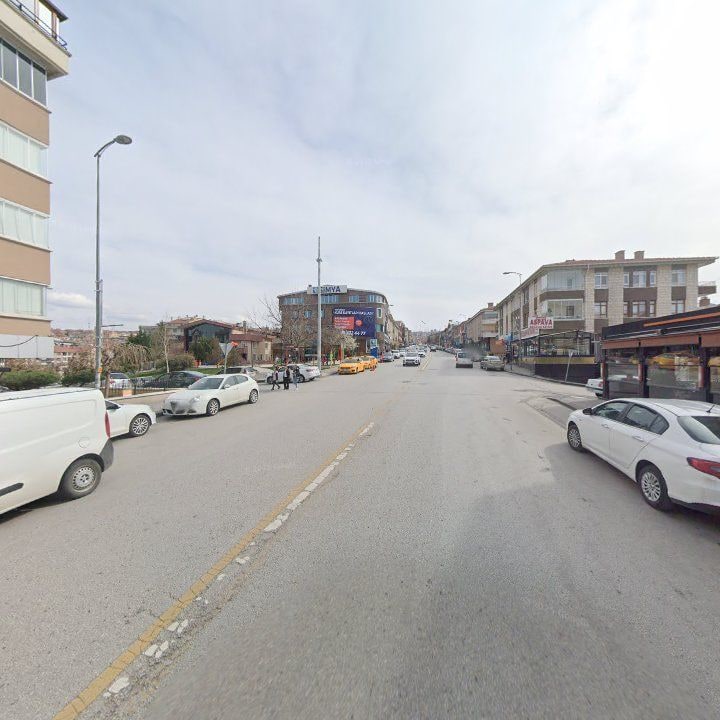 Fotoğraf 15