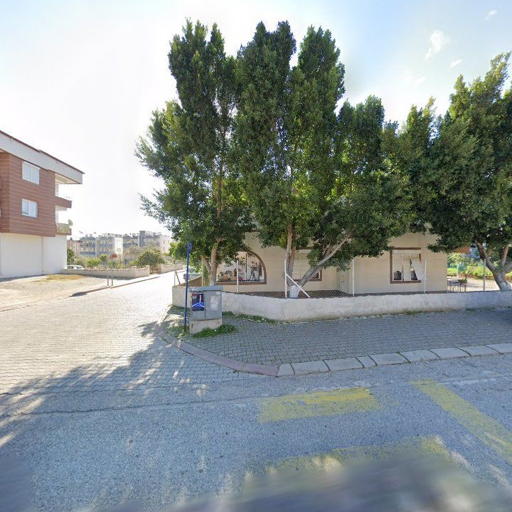 Fotoğraf 10