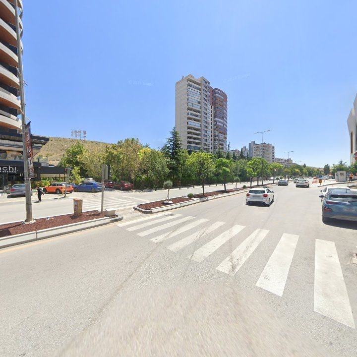 Fotoğraf 13