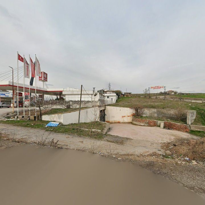 Fotoğraf 6