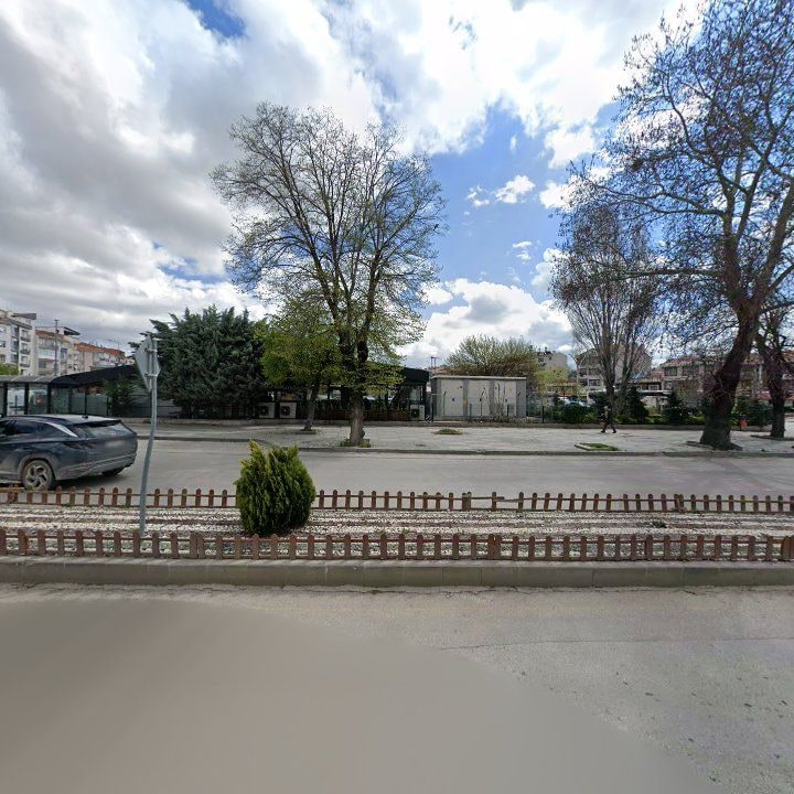 Fotoğraf 8