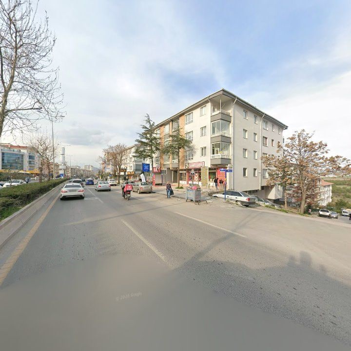 Fotoğraf 11