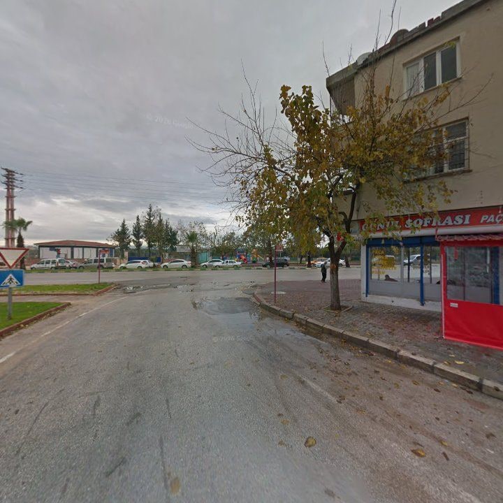 Fotoğraf 8
