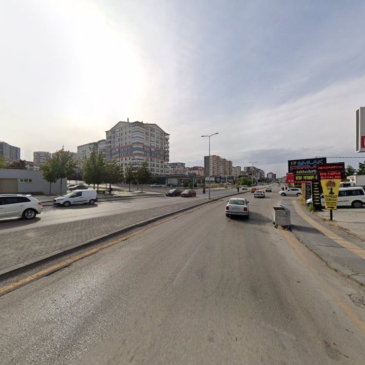 Fotoğraf 11