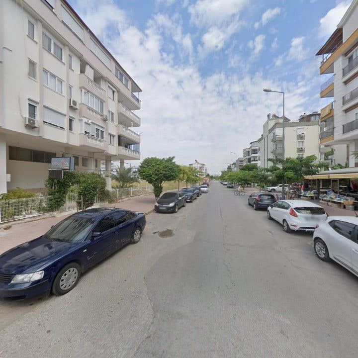 Fotoğraf 6