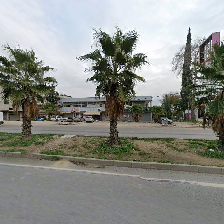 Fotoğraf 6