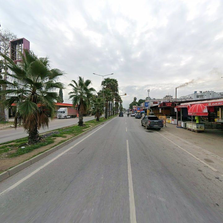 Fotoğraf 7