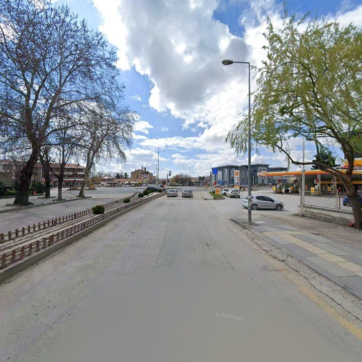 Fotoğraf 9