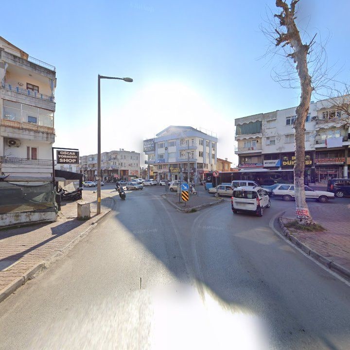 Fotoğraf 9