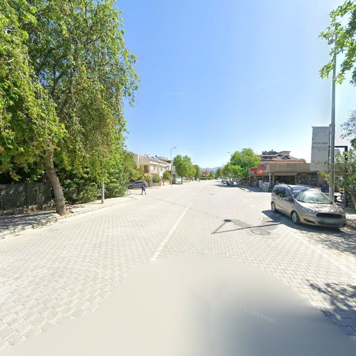 Fotoğraf 7