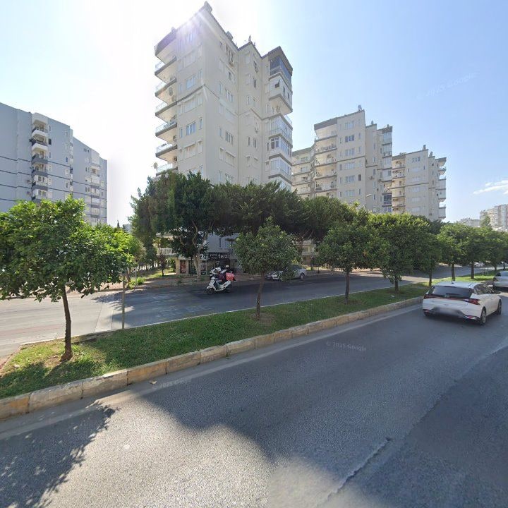 Fotoğraf 12