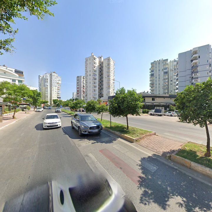 Fotoğraf 11