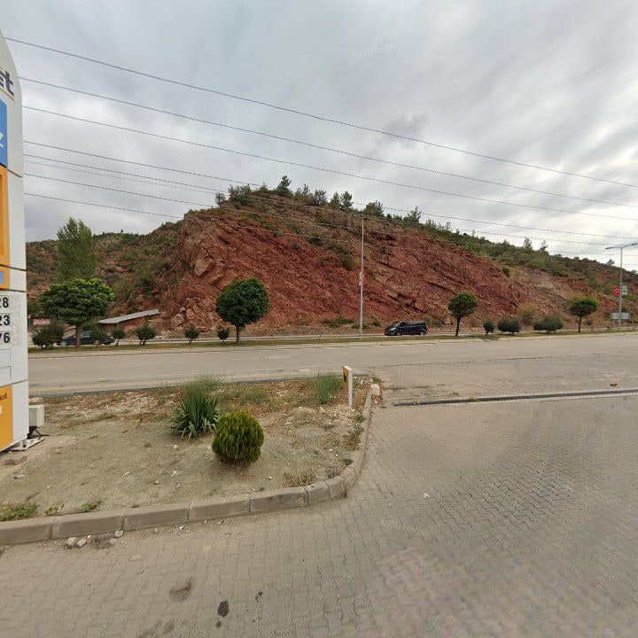 Fotoğraf 8
