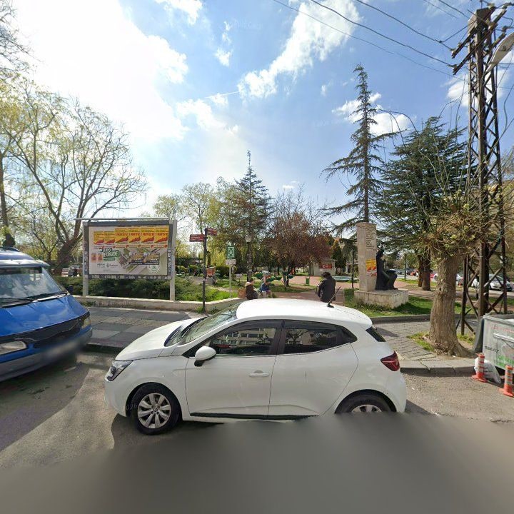 Fotoğraf 8