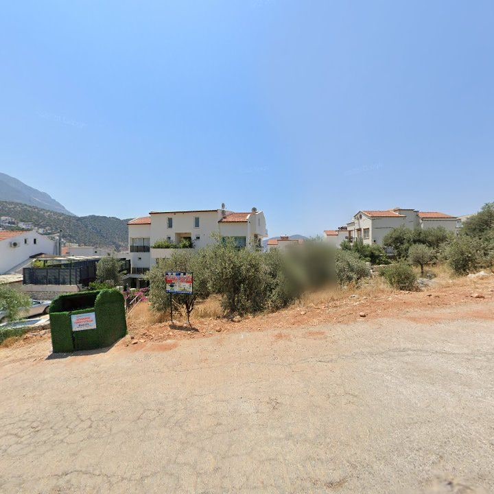 Fotoğraf 12