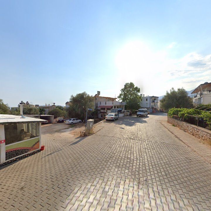 Fotoğraf 9