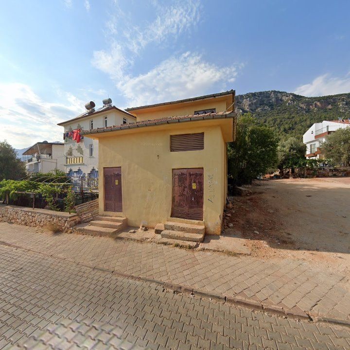 Fotoğraf 10