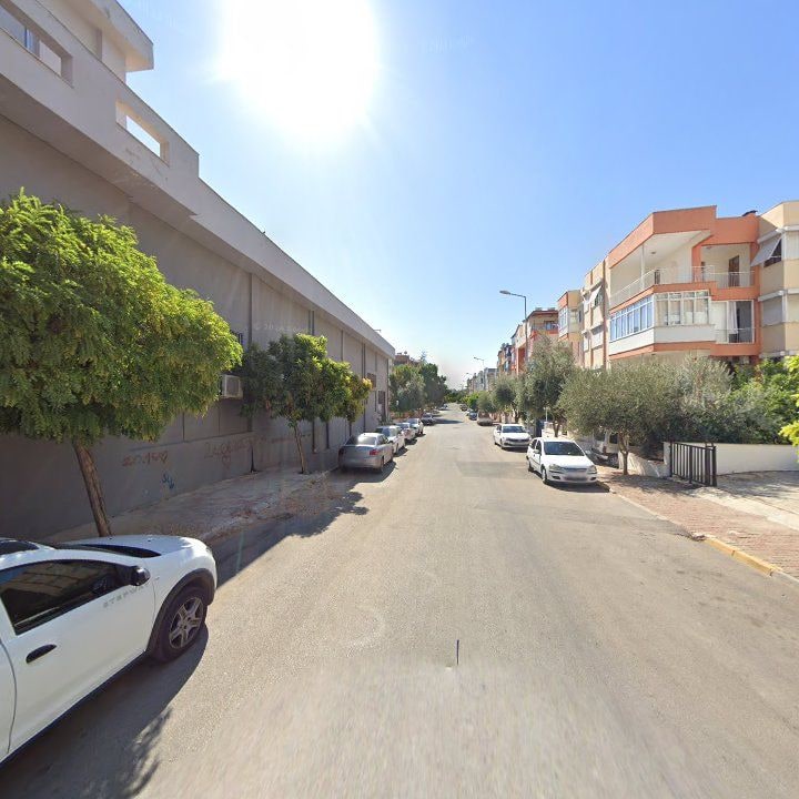 Fotoğraf 10