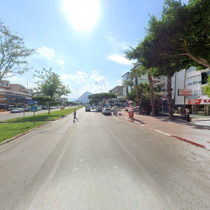 Fotoğraf 11