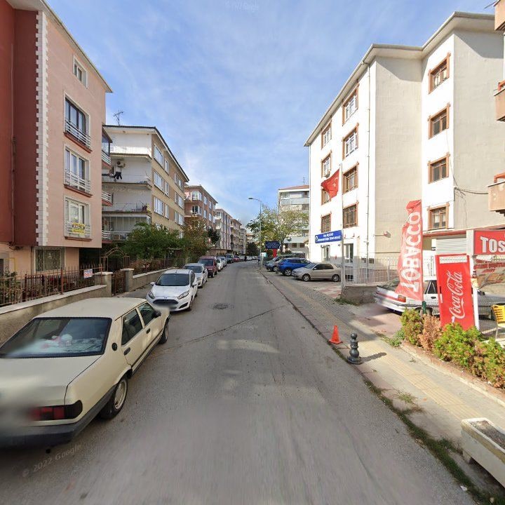Fotoğraf 13