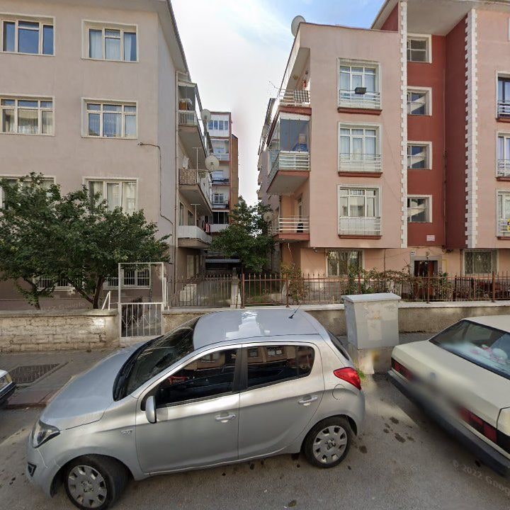 Fotoğraf 12