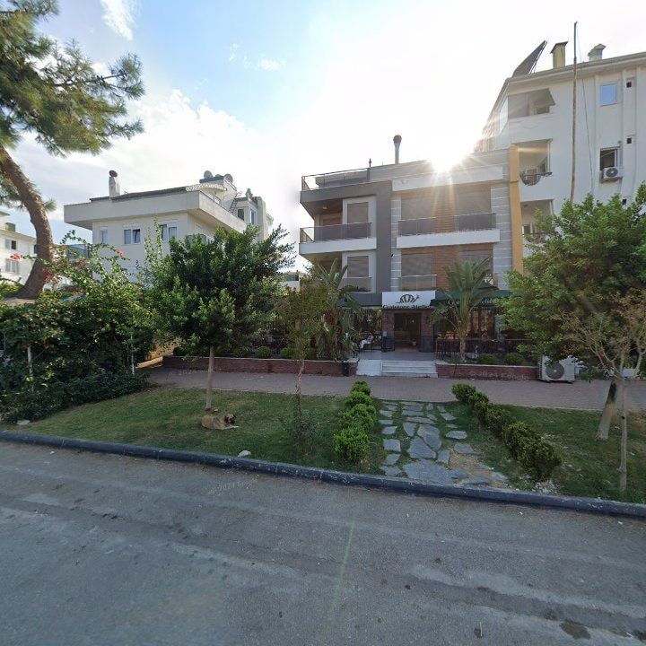 Fotoğraf 11