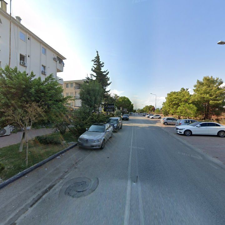 Fotoğraf 12