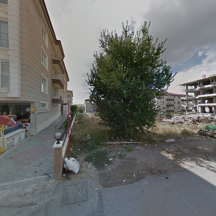Fotoğraf 9