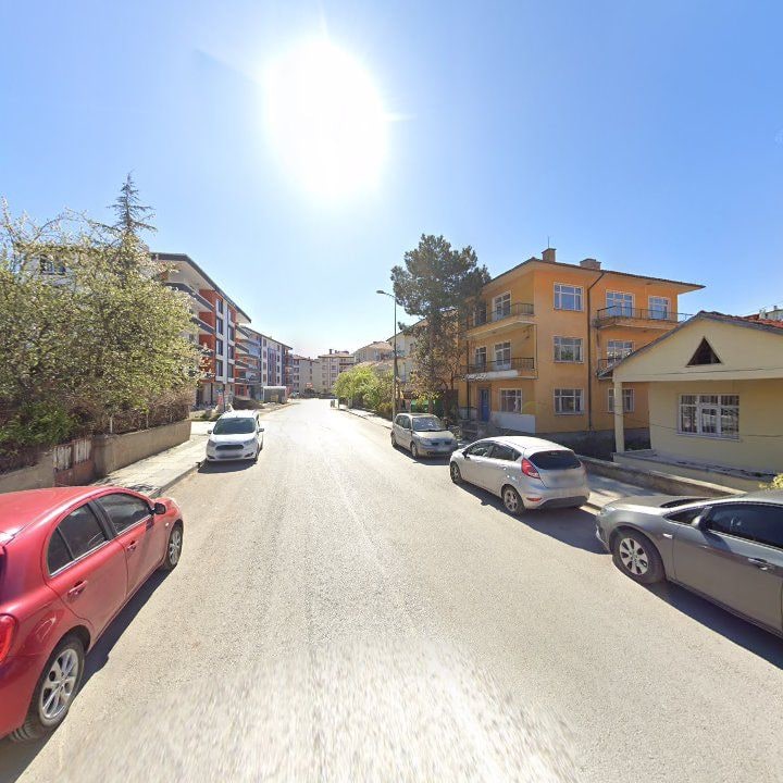 Fotoğraf 8