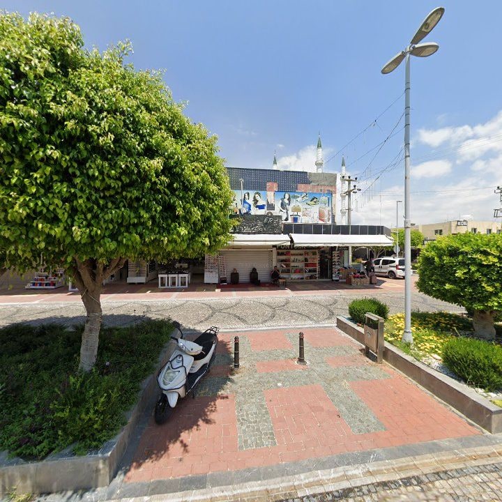 Fotoğraf 10
