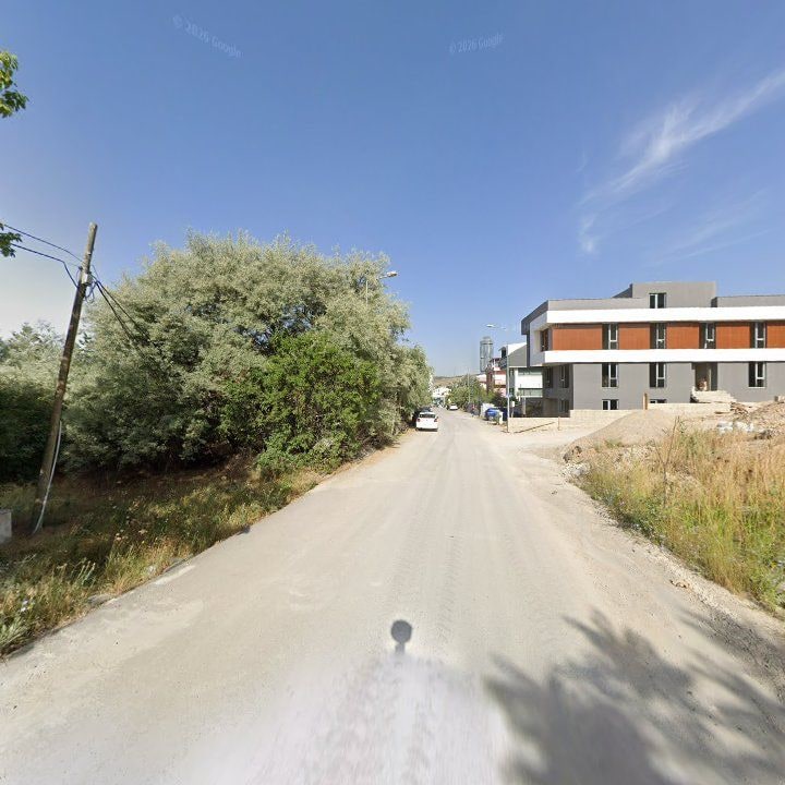 Fotoğraf 8