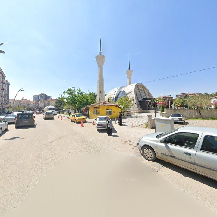 Fotoğraf 10