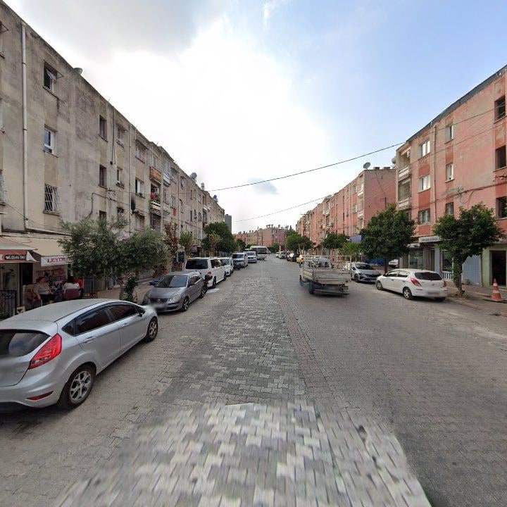 Fotoğraf 11