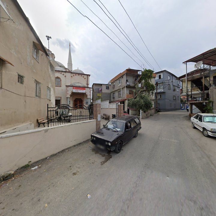 Fotoğraf 7