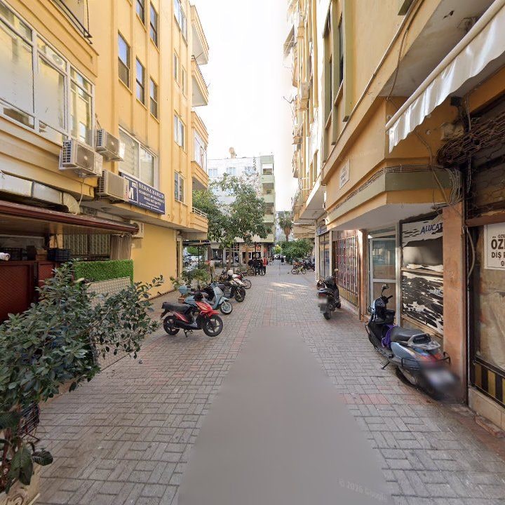 Fotoğraf 11