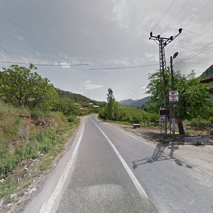 Fotoğraf 7