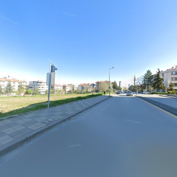 Fotoğraf 14
