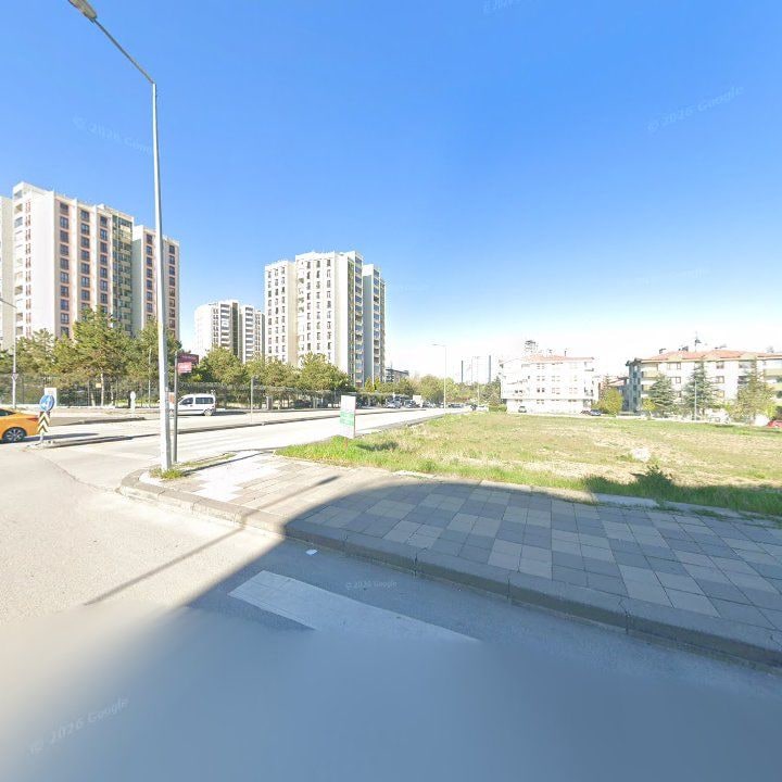 Fotoğraf 13