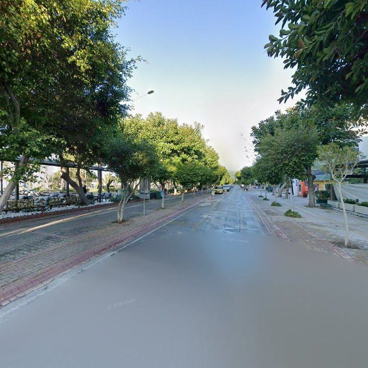 Fotoğraf 12