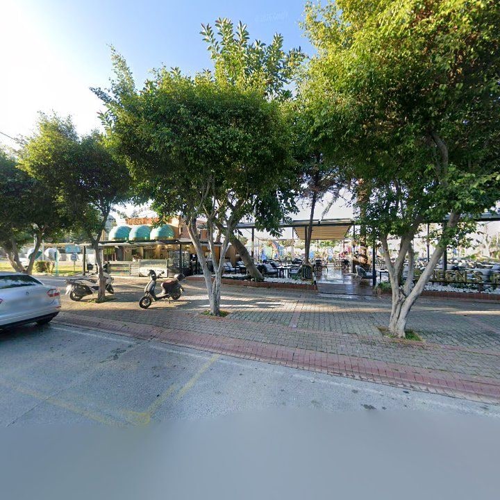 Fotoğraf 11