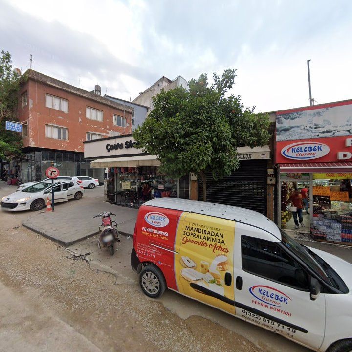 Fotoğraf 7