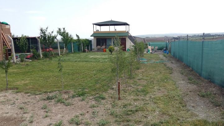 D'garden