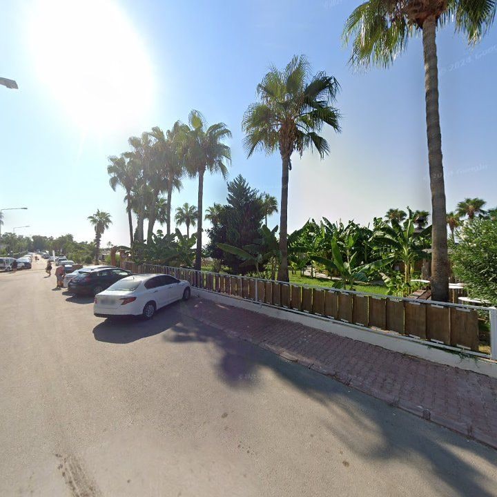Fotoğraf 11