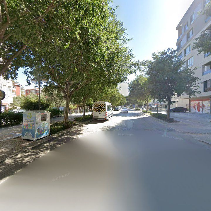 Fotoğraf 13