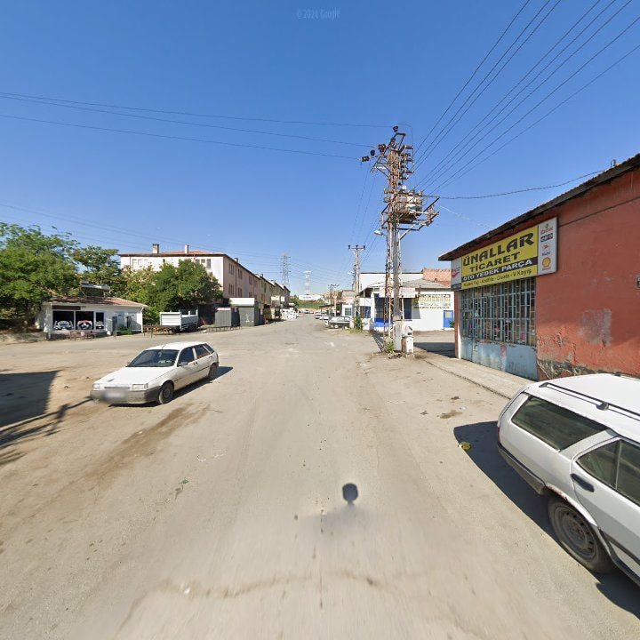 Fotoğraf 11