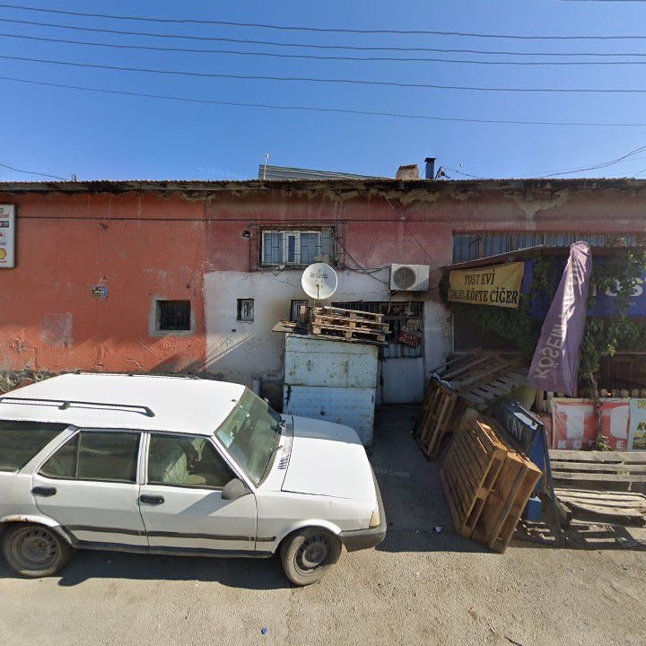 Fotoğraf 8