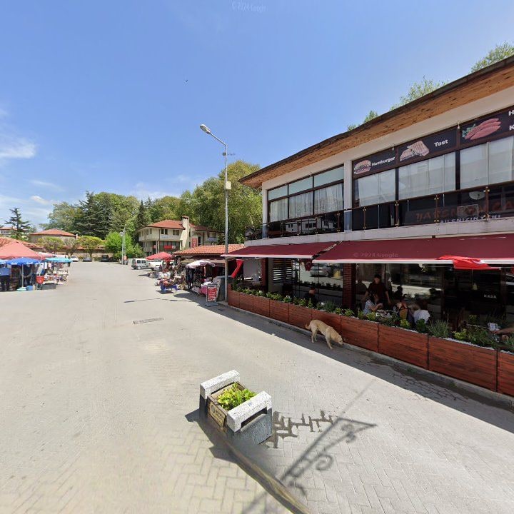 Fotoğraf 8