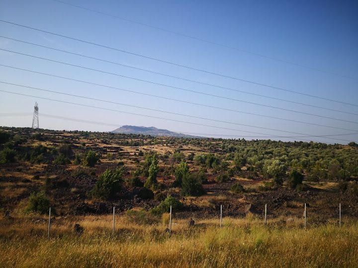 Dağsapark
