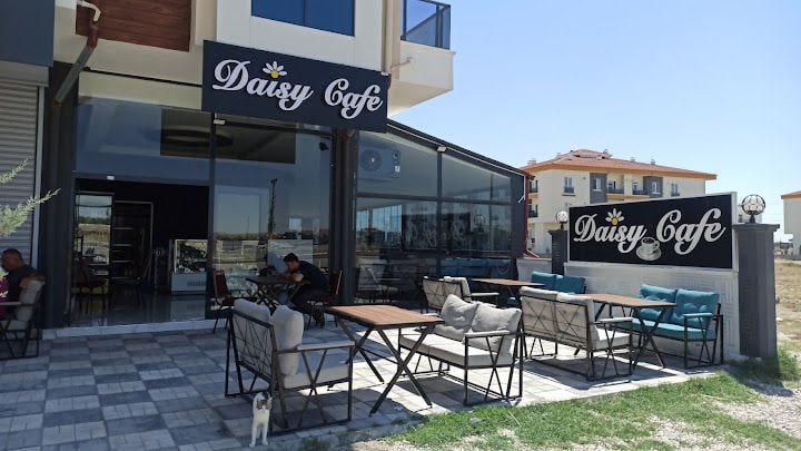 Daisy Cafe